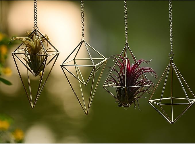 4Pcs Hanging Metal Air Plant Holder with Chain Mini 2 Style Tillandsia Geomitric Airplants Hanger Air Fern Cage Decor for Home and Office