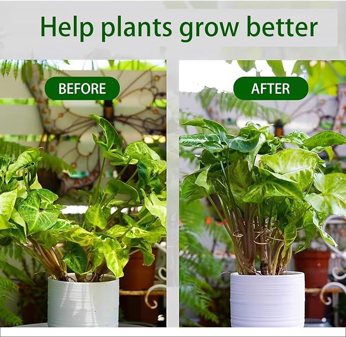 5Pcs Gold Plant Stem Support, Stable Support Stakes for Plants Stabilize, Outdoor & Indoor & Garden Plant Stakes for Healthy Growth (Flower Shaped Bracket A)