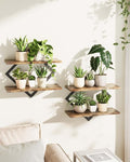 Bamworld Floating Shelves for Wall Planters for Indoor Plants Hanging Shelves Plant Holder Wall Decor Plant Stand Indoor for Plant Hangers Indoor for Living Room Bedroom Bathroom 2-Pack Brown Rhombus