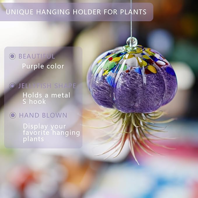 H&D HYALINE & DORA Hanging Hand Blown Art Glass Jellyfish Air Planter Terrarium Decor for Garden Porch Windowsill (No Plants)