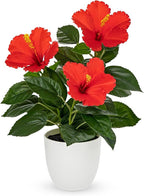 Briful Artificial Hibiscus Flowers in Pot, 14.5’’ Faux Hibiscus Plant, Spring Summer Flowers for Home Decor, Farmhouse Table Decor & Coffee Table Decor, Indoor Potted Fake Flower, Red