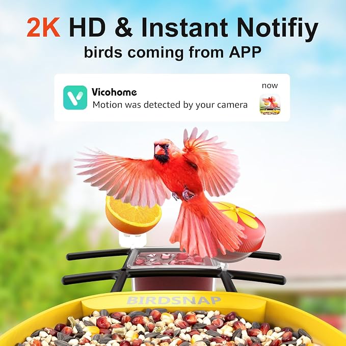 birdsnap® PAV-Bird Feeder with Camera,2K HD with 64GB Card, AI Identify Smart Bird House Cam Solar Panel,Live Stream,Motion Detection,Auto Record Video for Backyard Outdoors,Ideal Gift for Bird Lover