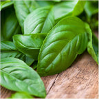 Seed Needs Culinary Basil Herb Seed Packet Collection (8 Individual Basil Seed Varieties for Planting) Non-GMO & Untreated Kitchen Herbs to Plant Indoors/Outdoors