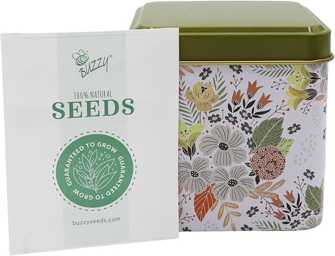 BUZZY Seeds Herbal Tea Garden Grow Kit – 3 Square Tin Planters with Lavender, Chamomile & Lemon Balm Seeds, Easy Indoor Herb Starter, Relaxing Gardening Gift Set