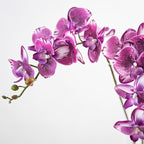 DUYONE 35 Inch Artificial Butterfly Orchid Flowers 4 Pcs Soft Touch Orchid Fake Phalaenopsis Flowers Stem Plants for Wedding Home Decoration (Deep Purple 4pcs)