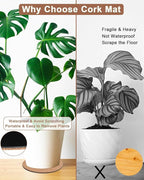 Vensovo Cork Plant Coasters & Saucers 10 Inch– Absorbent Round Mats for Indoor Flower Pots, Planters, Houseplants, Surface Protector for Table & Floor, 2 Pack