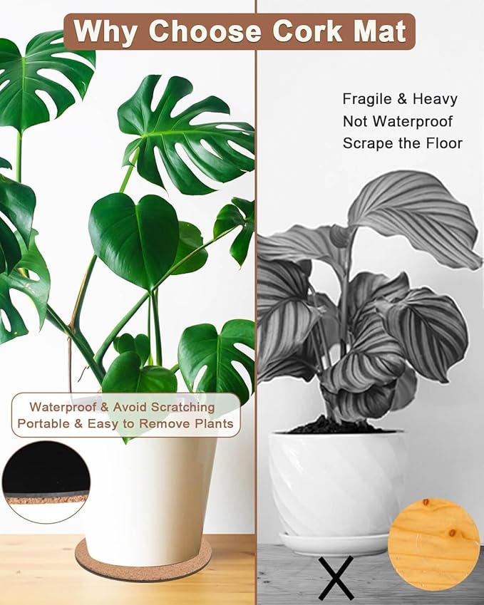 Vensovo Cork Plant Coasters & Saucers 10 Inch– Absorbent Round Mats for Indoor Flower Pots, Planters, Houseplants, Surface Protector for Table & Floor, 2 Pack