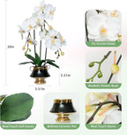 CXGS Orchids Artificial Flowers Realistic Fake Flowers in Ceramic Vase 20" White Faux Plants Indoor Lifelike Soft PU Phalaenopsis for Centerpiece Hotel Home Decor