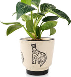 STHIE 5 Inch Ceramic Planters for Indoor Plants, Funny Small Plant Pots with Drainage, Unique Decorative Cute Flower Pot Panthers Round Flowerpots
