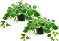 Tiita 2 Pack Fake Plants Artificial Scindapsus Aureus in Pots, Realistic Fake Greenery Potted Plants for Home Office Desk Window Sill Bathroom Bedroom Outdoor Indoor