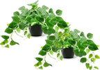 Tiita 2 Pack Fake Plants Artificial Scindapsus Aureus in Pots, Realistic Fake Greenery Potted Plants for Home Office Desk Window Sill Bathroom Bedroom Outdoor Indoor