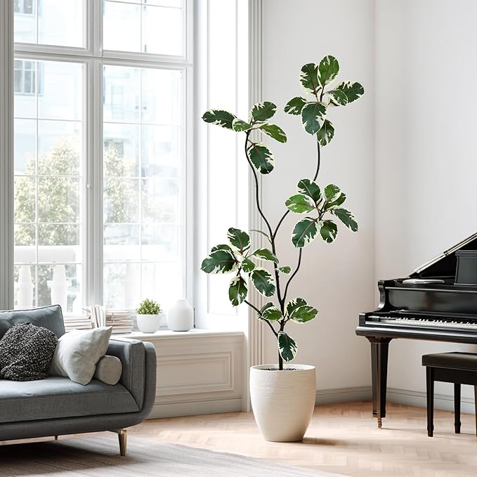 AfanD 6FT Artificial Rubber Tree – Realistic Variegated Ficus with Natural Trunk, Faux Indoor Plant for Living Room, Office, Bedroom & Commercial Decor, No Maintenance