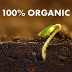 SuperMoss 01999 Agromin Organic Recycled Green Material Potting Mix, 4 Quart, Natural (Pack of 2)