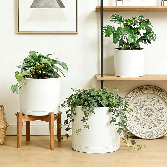 Large Plant Pots Set of 3 – 8", 9", 10" Indoor Flower Pots with Drainage Holes and Saucers, Big Planters for Monstera, Fiddle Leaf Fig, Snake Plant – 5 Colors