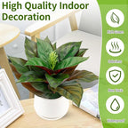 Realistic Artificial Potted Desk Plant Faux Calathea in Ceramic Pot, 8.7" Small Faux Greenery Fake Prayer Plant for Desk, Bathroom, Office, or Home Decor (Evergreen, Maintenance Free)