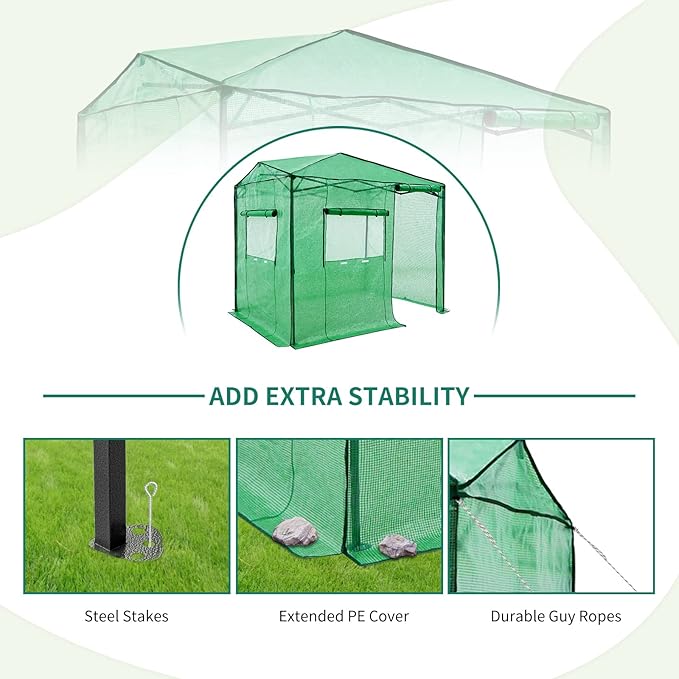 EAGLE PEAK 6x8 Portable Walk in Greenhouse, Pop Up Indoor Outdoor Greenhouse, Green House Kit with Zippered Roll-Up Doors and Windows, Side Door Design, PE Cover, Clear/Green