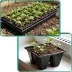 RooTrimmer 80 Pack Reusable 4-Cell Seed Starter Tray for Seedlings, Easy Watering Seed Starting Trays with Drainage Holes for Seed Germination and Plant Start, Fits Standard 1020 Trays, Black