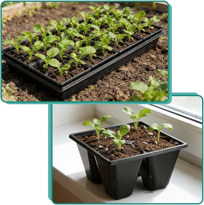 RooTrimmer 80 Pack Reusable 4-Cell Seed Starter Tray for Seedlings, Easy Watering Seed Starting Trays with Drainage Holes for Seed Germination and Plant Start, Fits Standard 1020 Trays, Black