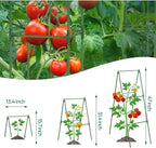 Garden Cucumber Trellis for Climbing Plants Outdoor, 47x16 inch A Frame Cucumber Trellis for Garden Raised Bed, Plant Support for Vegetable Vine Pea Bean, with Netting (Green, 47x16inch)