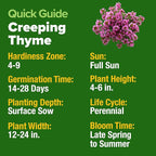 HOME GROWN Purple Creeping Thyme Seeds Non-GMO Ground Cover Flowers 22000+ Edible Herb Seeds for Planting Lawns & Paths 3g Perennial Thymus serpyllum