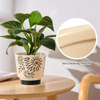 STHIE Indoor Ceramic Plant Pots with Drainage Holes 5 Inch Cute Succulent Flower Pots Small Orchid Planter Pots for Indoor Plants Garden Pots, Flower