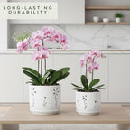 2 Pack, 5 + 6 Inch White Orchid Pots with Holes and Saucer, Ceramic Orchid Planters for Repotting with Drainage Holes and Tray, Plant Flower Pot containers for Orchid Indoor Outdoor