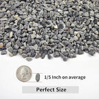 YISZM 10LB Succulent and Cactus Gravel, 1/5 Inch Natural Decorative Polished Pebbles for Landscaping, Grey River Rocks for Plants, Vases, Aquariums, Terrarium and Outdoor Gardening