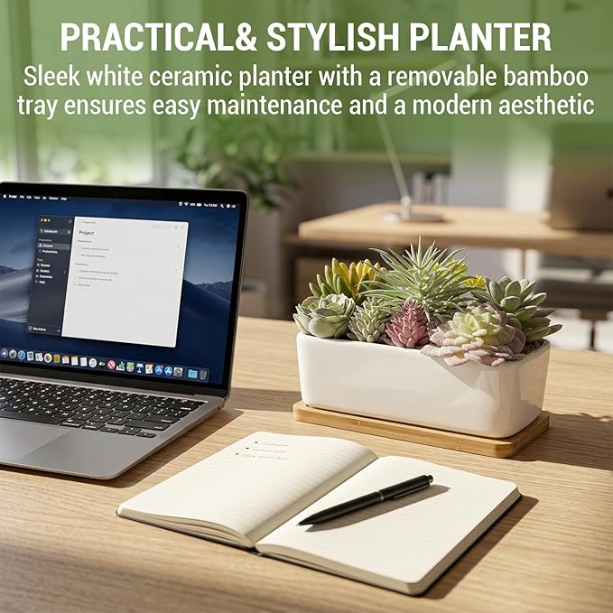 MyGift Assorted Artificial Succulent Plant Arrangement Potted in White Ceramic Planter Pot with Removable Bamboo Tray