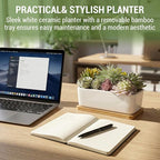 MyGift Assorted Artificial Succulent Plant Arrangement Potted in White Ceramic Planter Pot with Removable Bamboo Tray