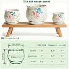 Vintage Flower Pots for Indoor Plant, Round Ceramic Plant Pots with Drainage Holes and Saucers, 6.7/5.2/3.9 Inches Retro Flower Planters Set of 3 (Vintage Butterfly)