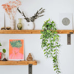 Clearain Fake Hanging Plants Vines for Room Decor, Artificial Ivy Greenery Garlands for Home Decor, Mini Faux Succulent Plant for Indoor Outdoor Aesthetic Office Shelf Decor (Dutch Bean leaves-1pcs)