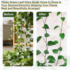 HNHMT 60 pcs Plant Wall Clips with 72 Pieces Acrylic Adhesive Sticker - Plant Climbing Wall Fixture Clips Plant Fixer Invisible Wall Vines Fixing Clips Self-Adhesive Hook Plant Clips