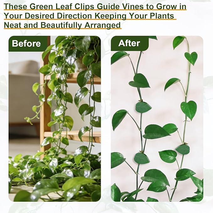 HNHMT 60 pcs Plant Wall Clips with 72 Pieces Acrylic Adhesive Sticker - Plant Climbing Wall Fixture Clips Plant Fixer Invisible Wall Vines Fixing Clips Self-Adhesive Hook Plant Clips