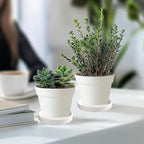 Yukfona Plant Saucer Pot Tray Planter Saucers 4 Pack 4 in,5 6 7 8 9 10 11 12 13 Inch for Indoors Outdoor, Durable Sturdy Ceramic Flower Drainage drip Water Tray for Glazed Pots Base (4 Inch-White)