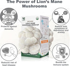 Lions Mane Mushroom Grow Kit - Organic Edible 4 lbs Mushroom Growing Kit, Grow Your Own Lion’s Mane Mushroom at Home, Handmade in USA, Non-GMO, Holiday Gardening Gift