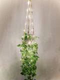 Comtelek Hanging Planter with Lights Indoor Macrame Plant Hanger Basket with Wood Beads Flower Pot Holder No Tassels for Boho Home Window Decor 35 Inch, Ivory (POTS NOT Included)