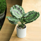 Briful Artificial Potted Plants 13" Green Faux Plants Indoor Small Fake Plant Decor for Home Table Office House Bathroom Shelf Living Room Desk Decoration
