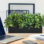 Winlyn 14" Artificial Boxwood Plant Greenery Arrangement Faux Boxwood in Black Rectangular Wooden Planter Potted Herb Plant for Farmhouse Home Decor Wedding Windowsill Mantel Shelf Table Centerpiece