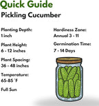 Boston Pickling Cucumber Seeds for Planting - 150 𝗡𝗢𝗡-𝗚𝗠𝗢 Heirloom Cucumber Seeds for Planting in Raised Beds, Containers, Trellises - Made in USA (Cucumis sativus)