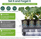 SOLIGT Self Watering Seed Starter Trays with Humidity Domes, Extra Thick Plastic Seed Starter kit for Seed Starting, Plant Germination & Seedling Growing, 6 Pack 144 Cells