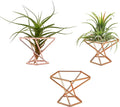 Geometric Air Plant Holder Airplants Rack Metal Plants Stand Planter Shelves Himmeli Living Decor Tillandsia Pot Containers (Rose gold 3pcs)