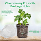 Bluepro 50 Packs 4 Inch Reinforced Clear Nursery Pots with Drainage Holes, Transparent Plastic Plant Pot Seedling Planter for Vegetable Propagation, Root Cutting, Seed Starting