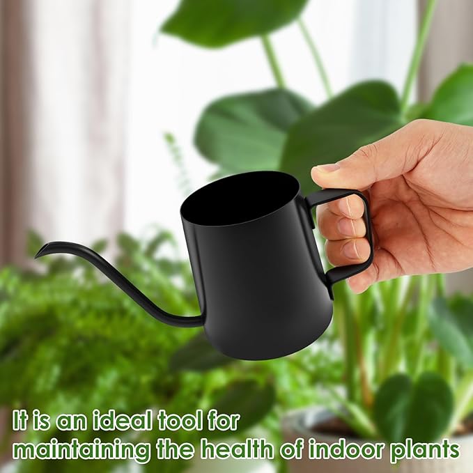 12oz/350ml Stainless Steel Plant Watering Pot,Small Watering Can for Indoor Plants,Mini Watering Can with Long Mouth & Ergonomic Handle for Indoor House Plants Flower Bonsai Outdoor Garden(Black)