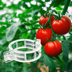 Tomato Clips for Climbing Plants 100 Pack, Plant Support Clips & Garden Clips for Vegetables Vine, Clear Reusable Plastic Plant Clips Indoor Outdoor Gardening