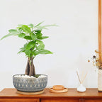 8 Inch Ceramic Succulent Planter Pots with Drainage Hole Flower Pot for Indoor Plants Round Shallow Bonsai Pot with Bamboo Tray Blue
