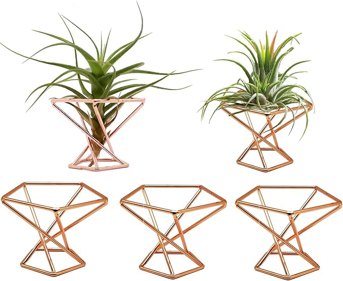 Geometric Air Plant Holder Airplants Rack Metal Plants Stand Planter Shelves Himmeli Living Decor Tillandsia Pot Containers (Rose Gold 5pcs)