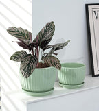 Ton Sin Flower Pots, Light Green Ceramic Plant Pots Set of 3,Small Glazed Succulent Pots with Drainage Hole,Cactus Planter with Saucer,Outdoor Garden Pots (Green)