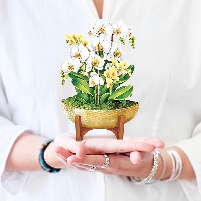 Freshcut Paper Pop Up Cards, Mini Serenity Orchid, 6 Inch Mini Sized Paper House Plants 3D Popup Greeting Card, Birthday Card, Get Well Gifts, Blank Notecard & Envelope