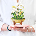 Freshcut Paper Pop Up Cards, Mini Serenity Orchid, 6 Inch Mini Sized Paper House Plants 3D Popup Greeting Card, Birthday Card, Get Well Gifts, Blank Notecard & Envelope