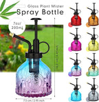 Zopeal 8 Pcs Glass Plant Mister Spray Bottle 200ml Vintage Plant Spritzer Multicolor Succulent Watering Bottle Watering Can 6.4'' with Plastic Top Pumps for Indoor Outdoor Garden Plants(Black)